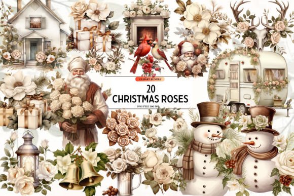Antique Christmas Roses: Premium Illustrations