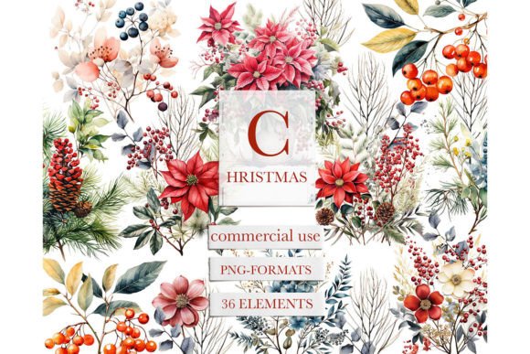 Christmas Botanical Watercolor Clipart: Premium Illustrations