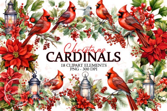 Christmas Cardinal Watercolor Clipart: Premium Illustrations