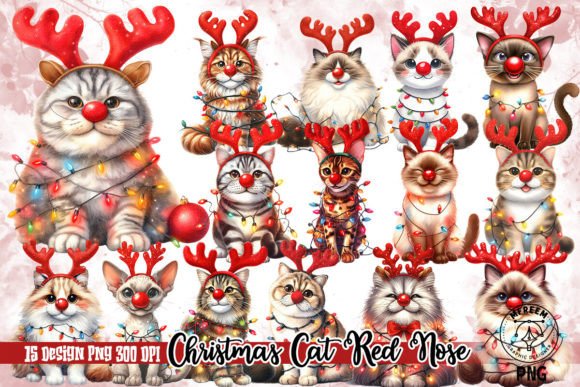 Review: Christmas Cat Red Nose Clipart PNG & Illustrations